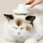 pet brush with self-cleaning button