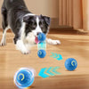 dog playing with automatic moving ball