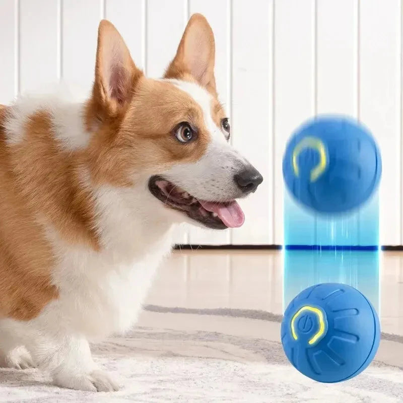 Pawvelin smart interactive dog ball