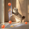 self-moving ball toy for dogs