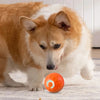 Smart Interactive Dog Ball