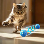 rechargeable interactive dog toy