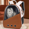 black cat backpack carrier with ventilation