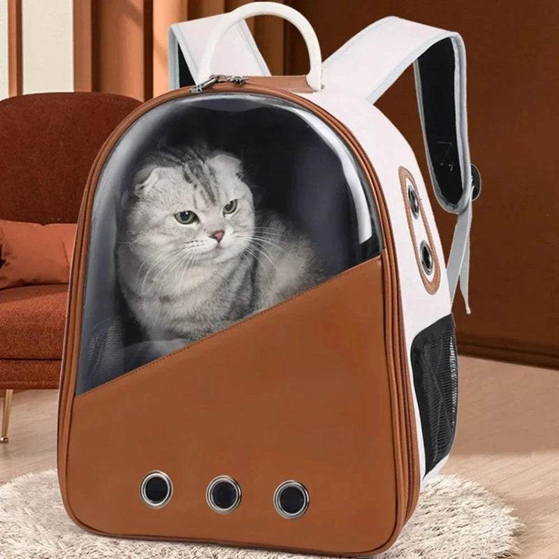 black cat backpack carrier with ventilation