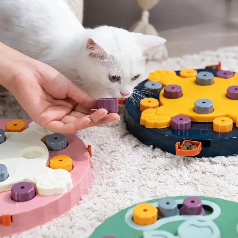 Cat using interactive food puzzle feeder