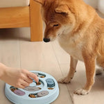 Dog playing with pet treat puzzle