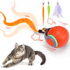 Orange interactive cat ball with tail attachments