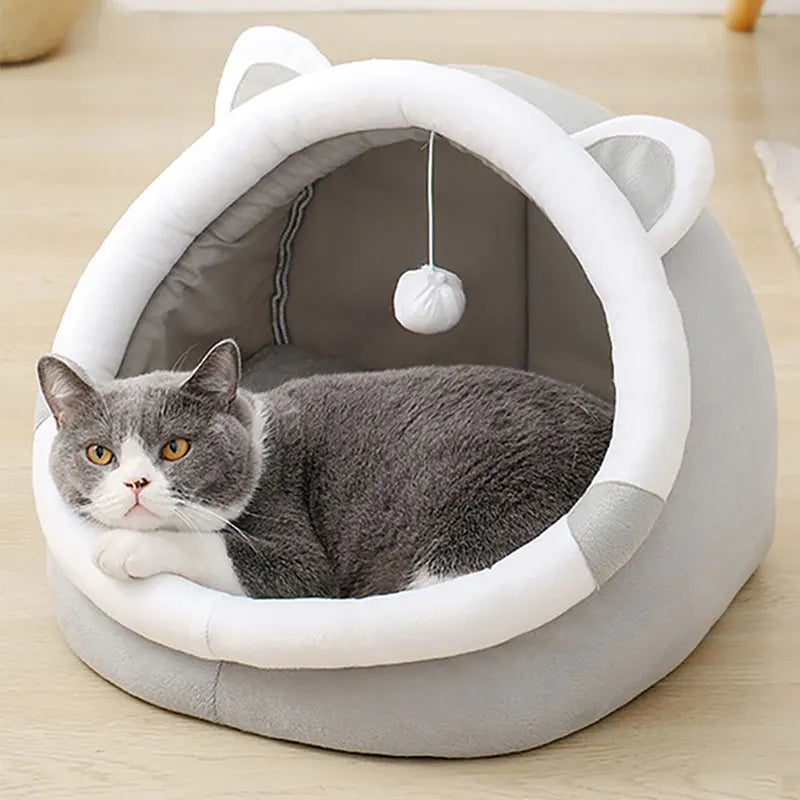comfortable cat bed for lounging