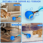Interactive cat ball shown on tile, wood and carpet surfaces