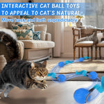 Cat following a Blue automatic toy ball indoors