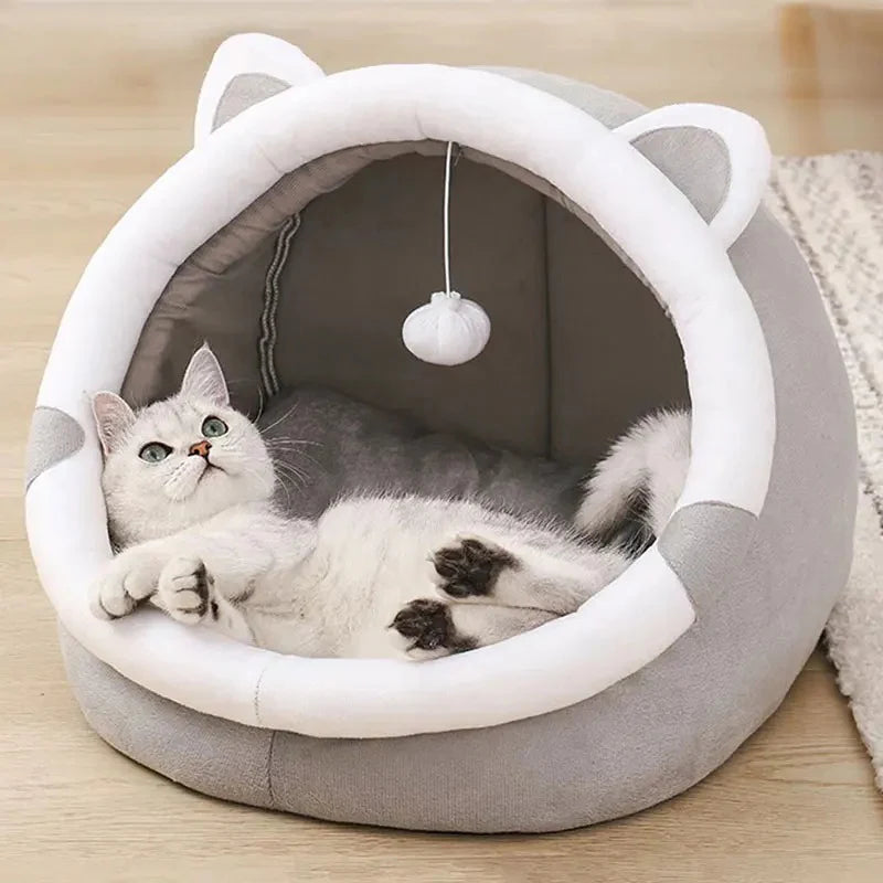 cat resting in soft cat bed